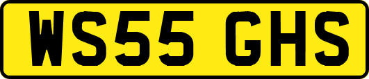 WS55GHS