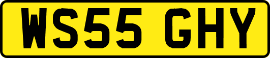 WS55GHY