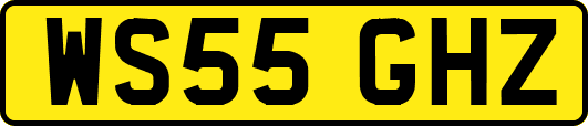 WS55GHZ