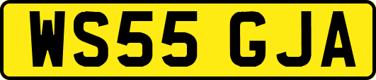 WS55GJA