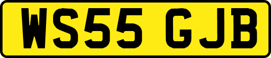 WS55GJB