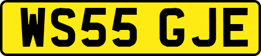 WS55GJE