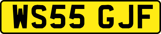 WS55GJF