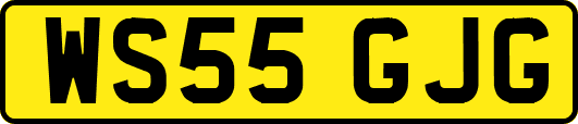 WS55GJG