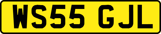 WS55GJL
