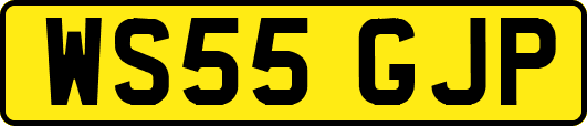 WS55GJP