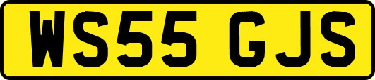 WS55GJS