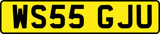 WS55GJU