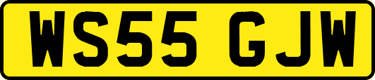 WS55GJW