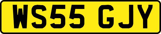 WS55GJY