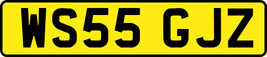 WS55GJZ
