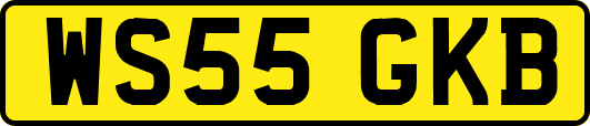 WS55GKB
