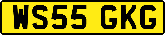 WS55GKG