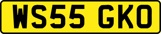 WS55GKO