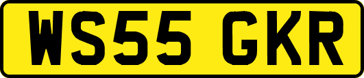 WS55GKR