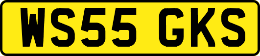 WS55GKS