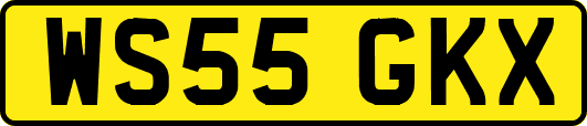 WS55GKX