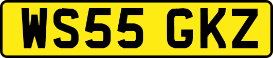 WS55GKZ