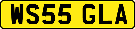 WS55GLA