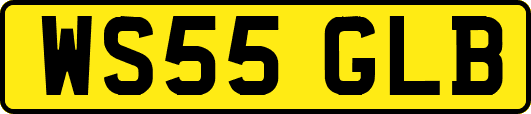 WS55GLB