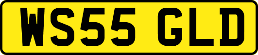 WS55GLD