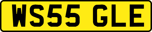 WS55GLE