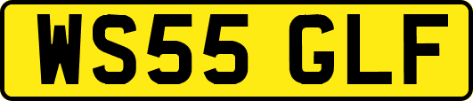WS55GLF