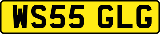 WS55GLG