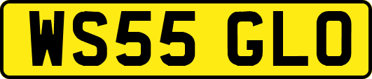 WS55GLO