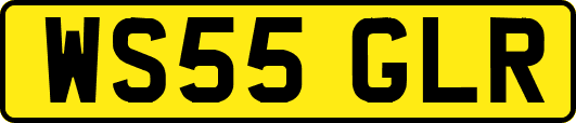 WS55GLR