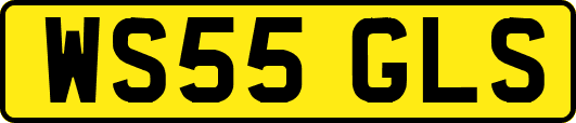 WS55GLS