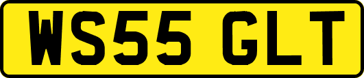 WS55GLT