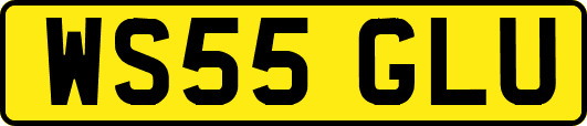 WS55GLU