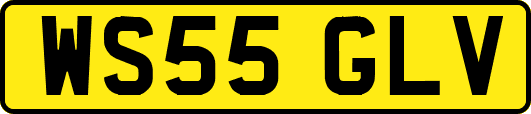 WS55GLV