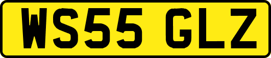 WS55GLZ