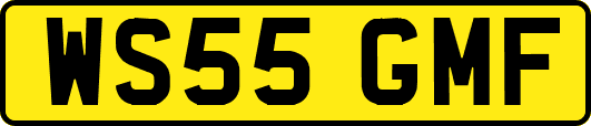 WS55GMF