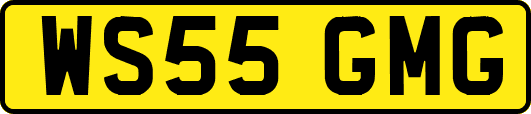 WS55GMG