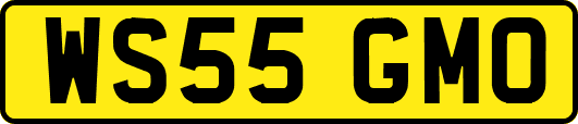 WS55GMO