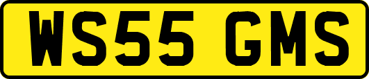 WS55GMS