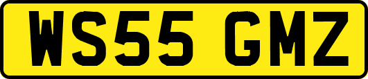 WS55GMZ