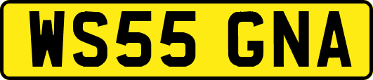 WS55GNA