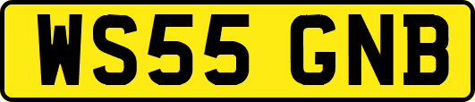 WS55GNB