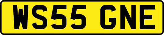 WS55GNE