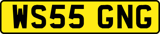 WS55GNG