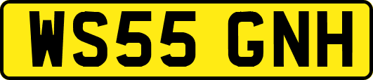WS55GNH