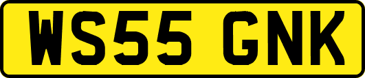 WS55GNK