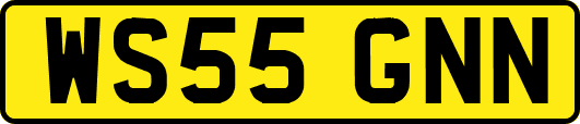 WS55GNN