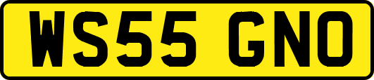 WS55GNO