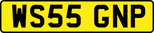 WS55GNP