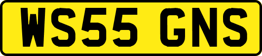 WS55GNS